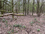 Volunteering in Burstow